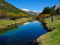 Lyell Canyon